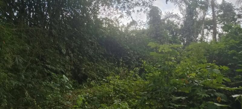 Parcelles agricole à Adahou