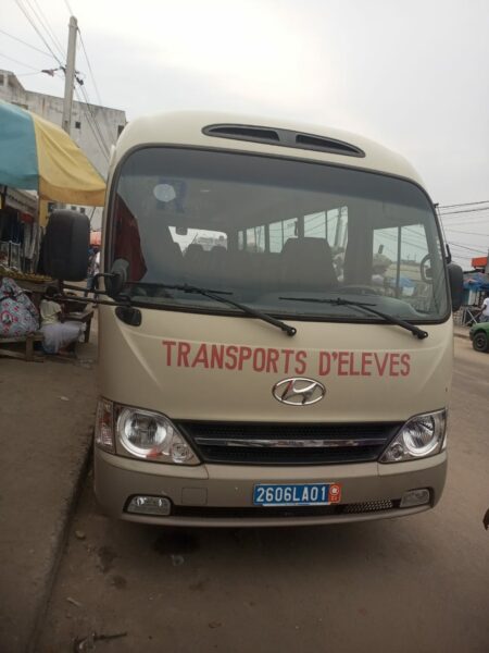 Mini car de transport