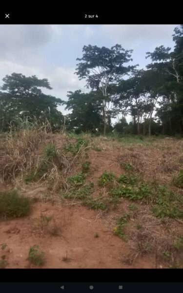 Terre agricole à louer à TOUMODI