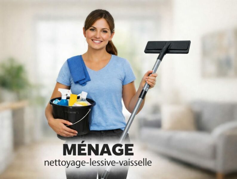 Nettoyeur professionnel à vôtre service